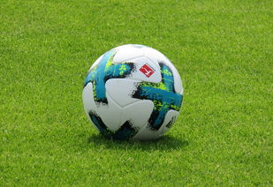 开云体育在线入口-多特蒙德防线再失误，错失榜首机会，多特蒙德ds